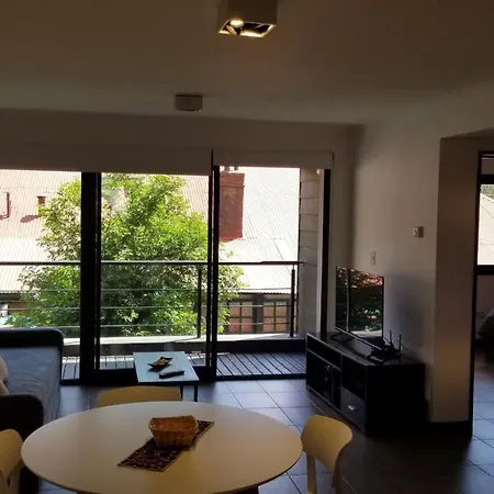 Ruka 7 Dpto 8 - Andarlibre Apartment San Martin de los Andes Exterior photo